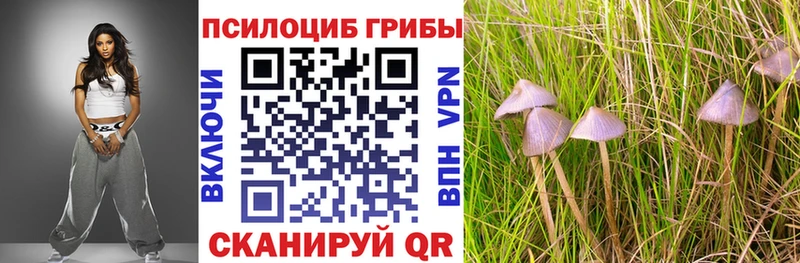 Псилоцибиновые грибы Psilocybine cubensis  Бор 